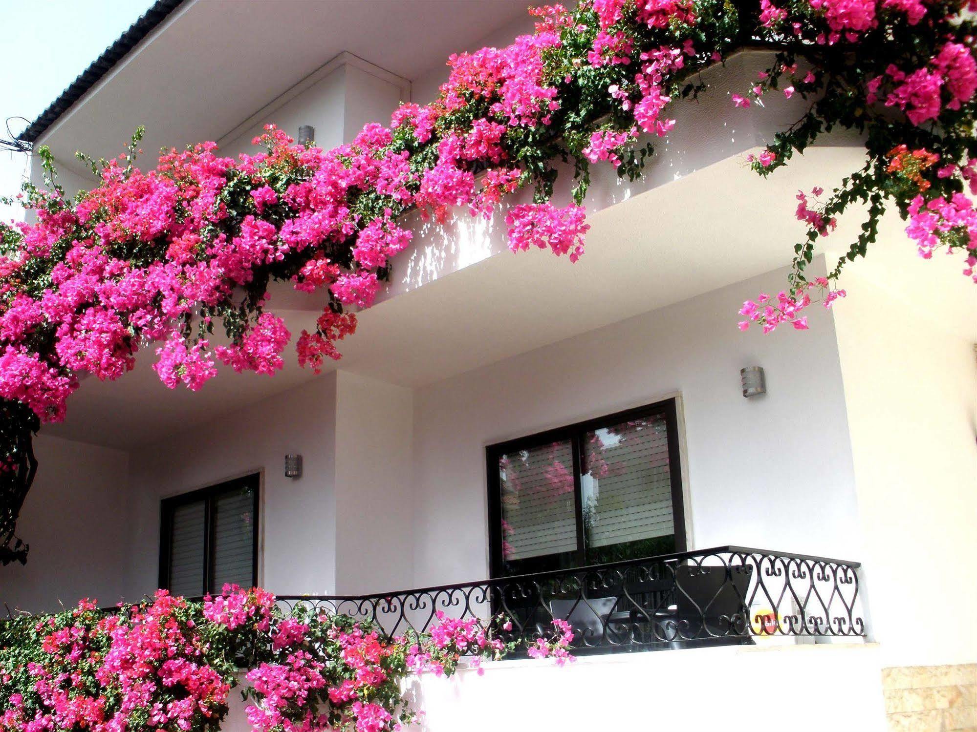 Dolce Cascais Guest House Luaran gambar